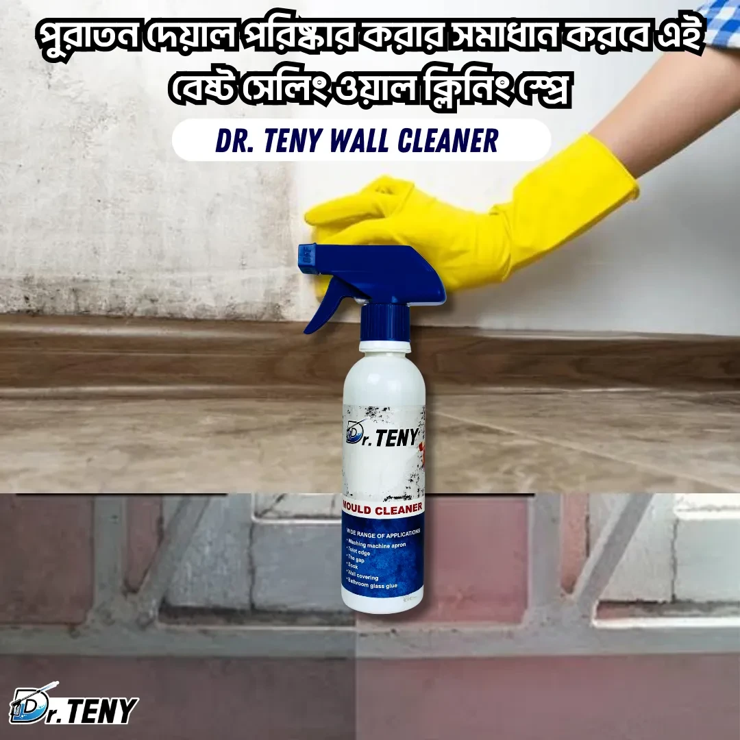Dr Teny Wall Mould Cleaner Spray 250 ml
